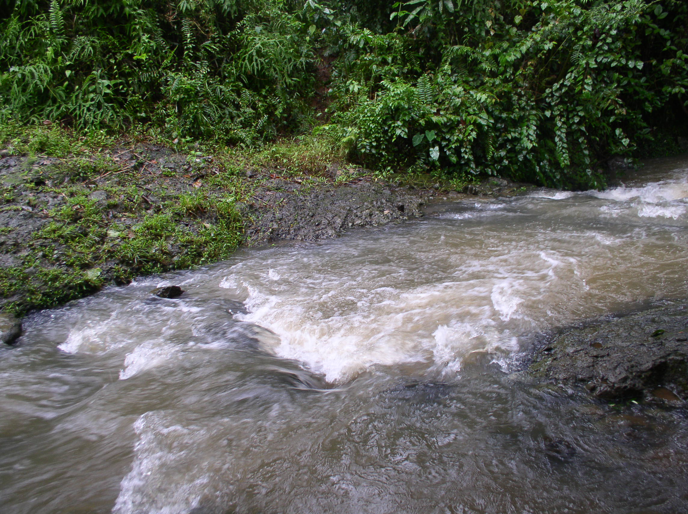 the stream we had to cross